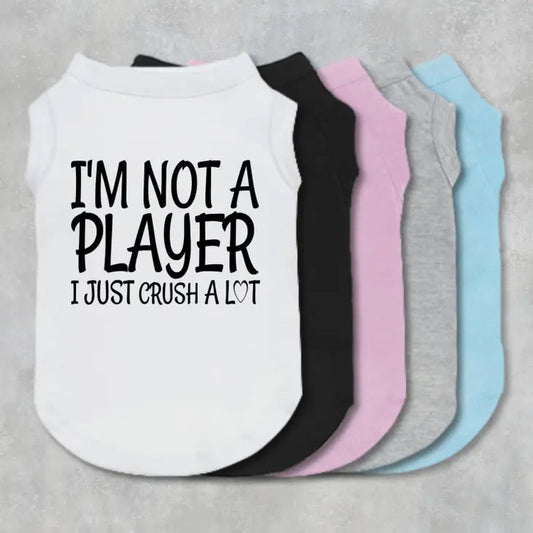 Not a Player Dog Hoodie - Black