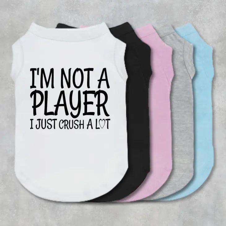 Not a Player Dog Hoodie - Gray